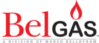 Belgas Logo